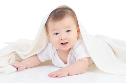 摄影行业赚钱新市场 产房摄影 一文告诉你它的优势和劣势
